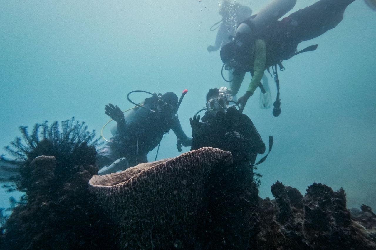 Menanam Trumbu Karang di Desa Wisata Pulau Pramuka