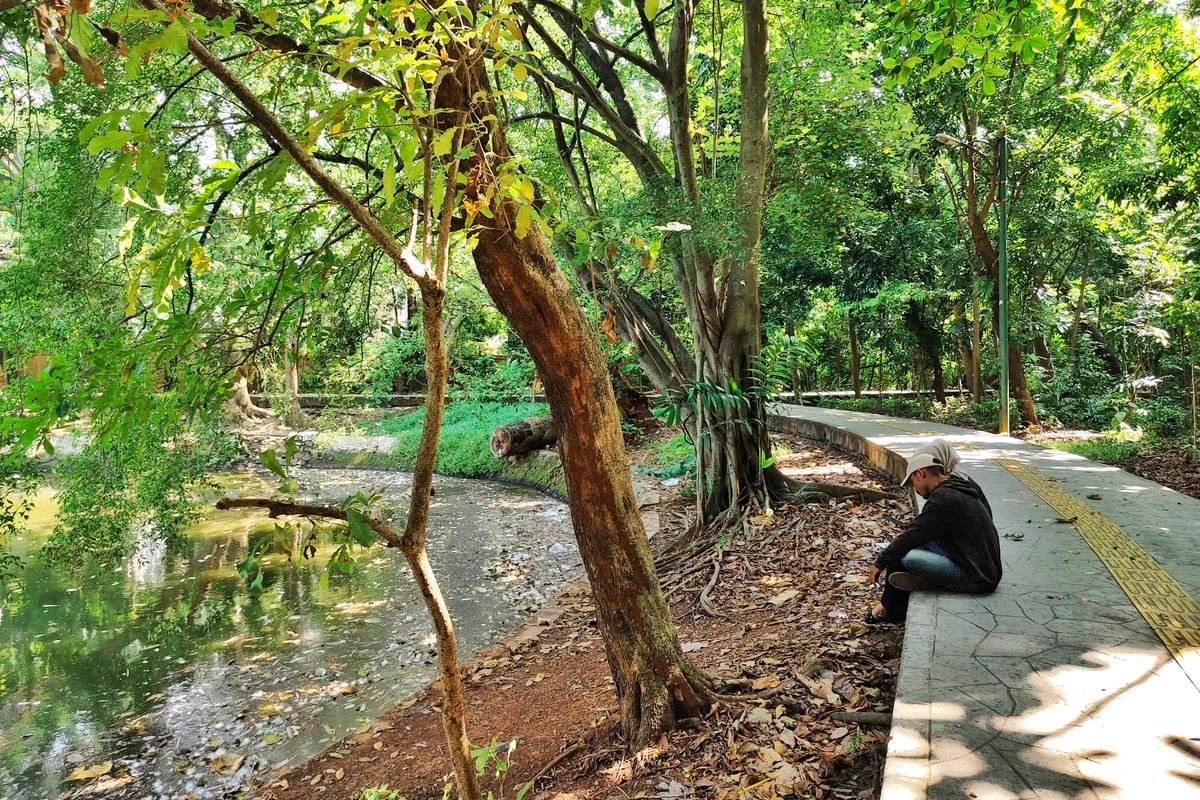 Hutan Kota Srengseng
