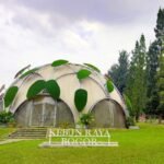 Anak Muda