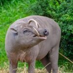 London Zoo