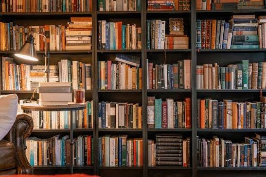 Koleksi Buku, Ruang Pribadi yang Menyimpan Pengetahuan dan Kenangan